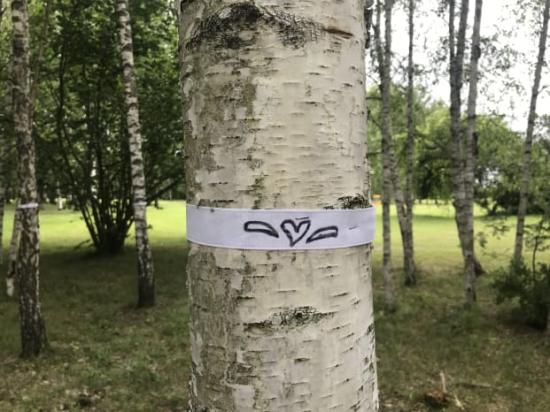 En björkstrid väntar på Järva, hotar nätverket Låt Parken Leva. Den 16 augusti adopterades det tusende trädet i Järva DiscGolfPark genom en gåva på 50 kronor till kampen för parken.