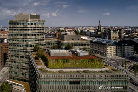 Niagara, Malmö universitet.