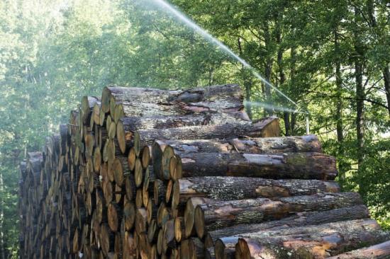 Auktorisationen för golvleverantörer har krav på social och miljömässig hållbarhet i hela kedjan. Kährs, som nyligen godkändes som Auktoriserat Golvföretag, har väl utvecklade system för handel med trä.