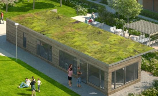 Gröna tak har många positiva effekter på miljön. Bilden är en illustration.