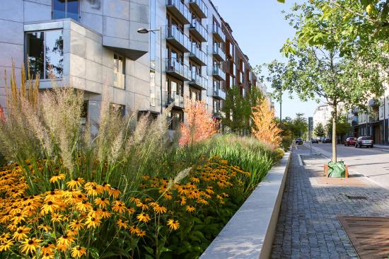 Jaktgatan och Lövängsgatan, Stockholm. Arkitekt: AJ Landskap.