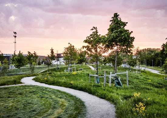 Nominerad till Landskapsarkitekturpriset 2020: Paradiset, Linköping.
