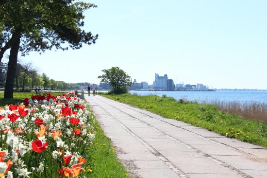 Hamnen i Nykøbing Falster.